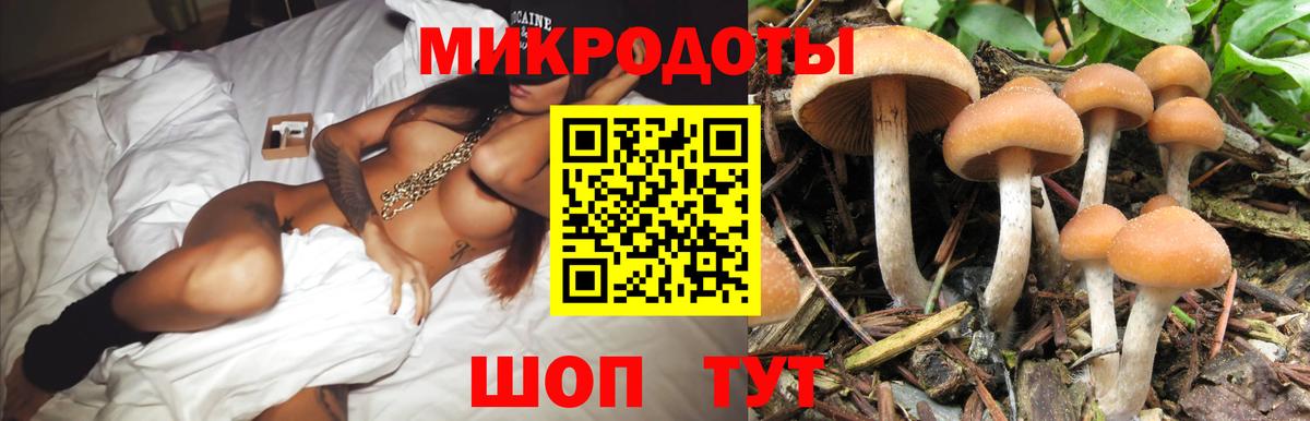 Галлюциногенные грибы Cubensis Североуральск